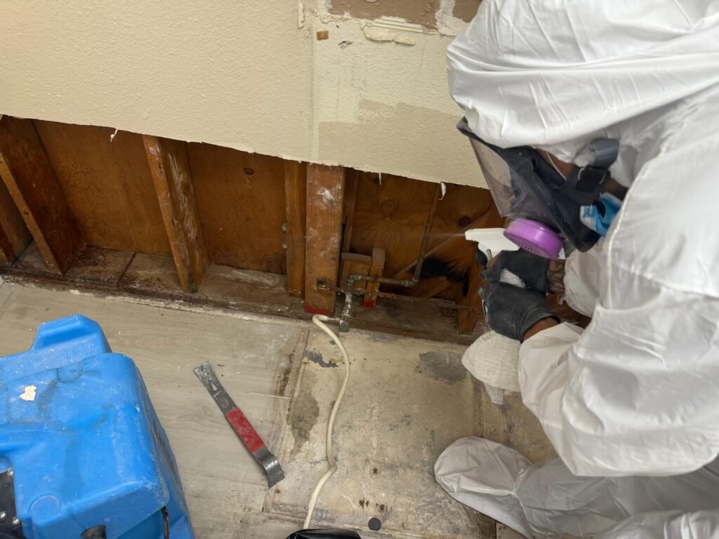 mold-remediation-technician-ppe-los-angeles.jpg